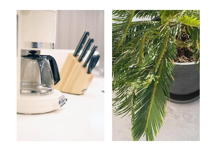 La Joya - Near To The By Lanzarote * Puerto del Carmen (Lanzarote)